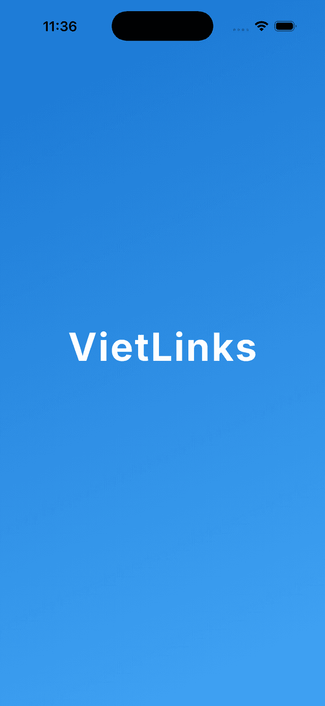 VietLinks Splash Screen